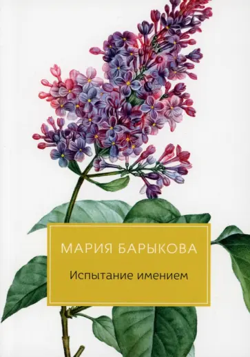 Мария Барыкова - Испытание имением Мария Барыкова - Испытание имением обложка книги