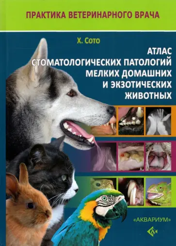 Хавьер Сото - Атлас стоматологических патологий мелких домашних и экзотических животных Хавьер Сото - Атлас стоматологических патологий мелких домашних и экзотических животных обложка книги