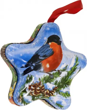 Звездочка с предсказаниями Снегирь обложка книги