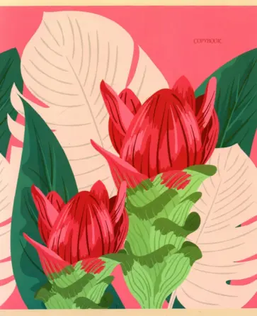 Тетрадь Тропические цветы, 48 листов, клетка, А5, в ассортименте Тетрадь Тропические цветы, 48 листов, клетка, А5, в ассортименте обложка книги