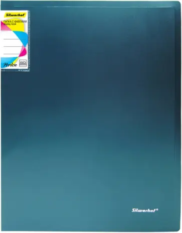 Папка с 60 вкладышами, А4, зеленая обложка книги