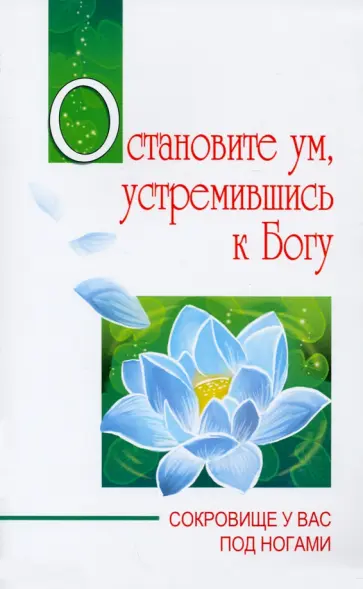 Баба Саи - Остановите ум, устремившись к Богу. Сокровище у вас под ногами обложка книги