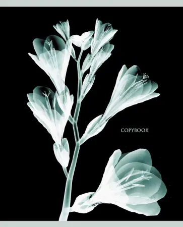 Тетрадь X-ray, 48 листов, клетка, в ассортименте обложка книги