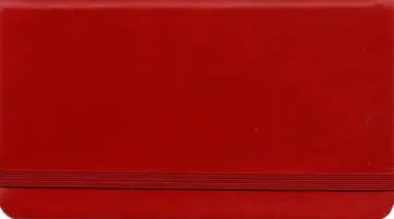 Планинг недатированный карманный Congress. Бордо, 64 листа обложка книги