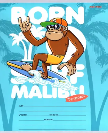 Тетрадь Клевый серфинг, 12 листов, косая линия, в ассортименте обложка книги