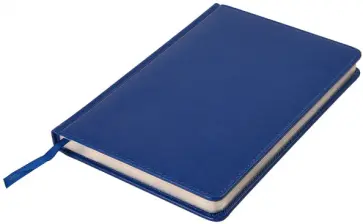 Ежедневник недатированный Joy, А5, синий обложка книги