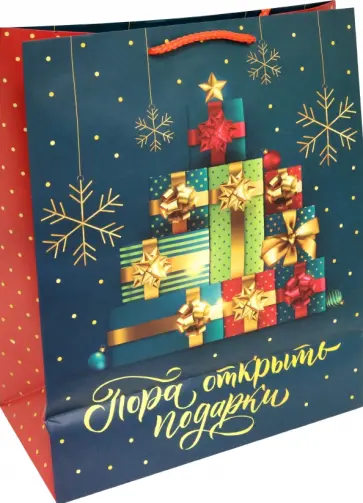 Пакет подарочный Подарки обложка книги