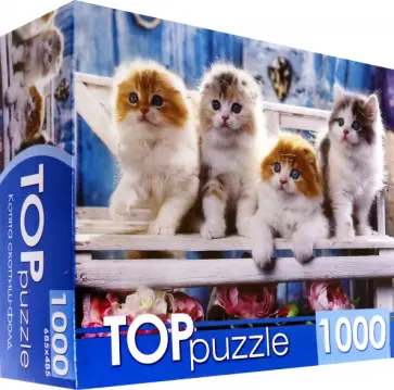 Puzzle-1000. Котята скоттиш фолд обложка книги