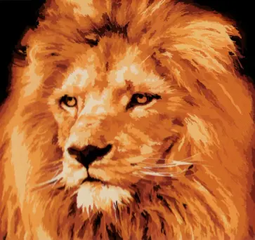 Холст с красками Взрослый лев с гривой обложка книги
