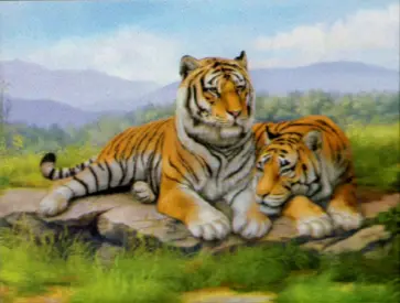 Алмазная вышивка с полным заполнением на холсте. Тигры обложка книги
