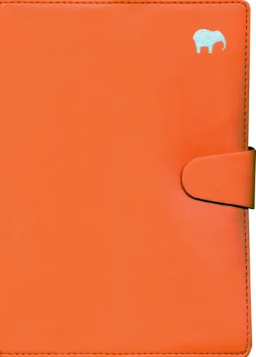 Ежедневник недатированный Icon, А5, 160 листов, оранжевый обложка книги