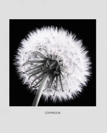 Тетрадь MONO flowers, 96 листов, клетка, А5, в ассортименте обложка книги