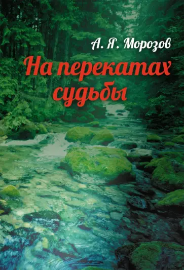 Александр Морозов - На перекатах судьбы обложка книги