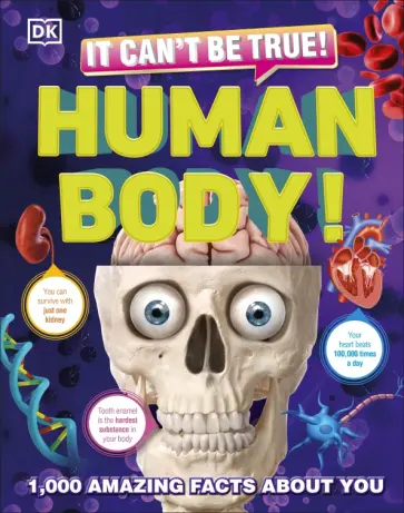 It Can't Be True! Human Body! обложка книги