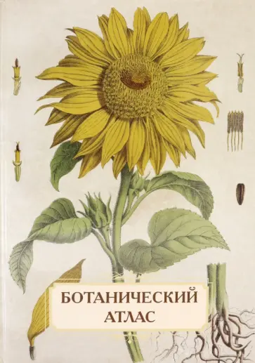 С. Иванов - Ботанический атлас. Н.П. Животовский С. Иванов - Ботанический атлас. Н.П. Животовский обложка книги