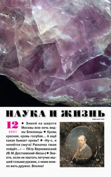 Журнал "Наука и жизнь" № 12. 2021 обложка книги
