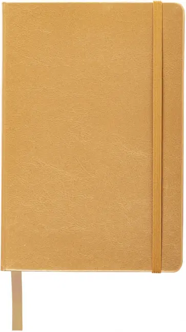 Блокнот, А5, 80 листов, клетка, золотистый обложка книги