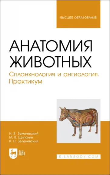 Зеленевский, Зеленевский - Анатомия животных. Спланхнология и ангиология. Практикум. Учебное пособие для вузов Зеленевский, Зеленевский - Анатомия животных. Спланхнология и ангиология. Практикум. Учебное пособие для вузов обложка книги