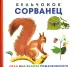 Миниатюра 1