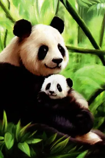 Алмазная вышивка с полным заполнением на холсте. Панда обложка книги