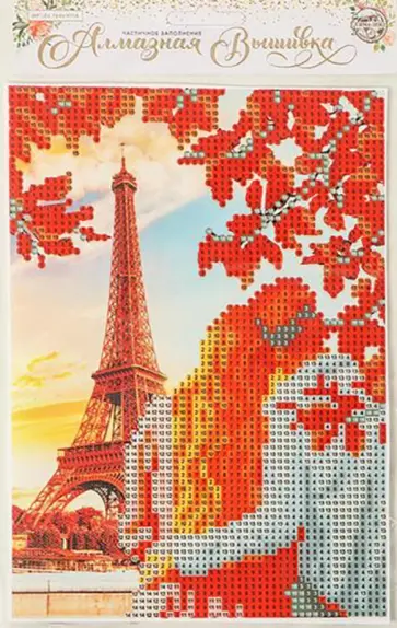Алмазная вышивка с частичным заполненением Париж обложка книги