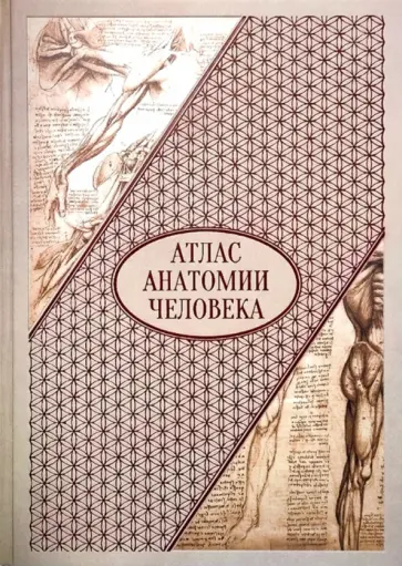 Атлас анатомии человека. Все органы человеческого тела Атлас анатомии человека. Все органы человеческого тела обложка книги