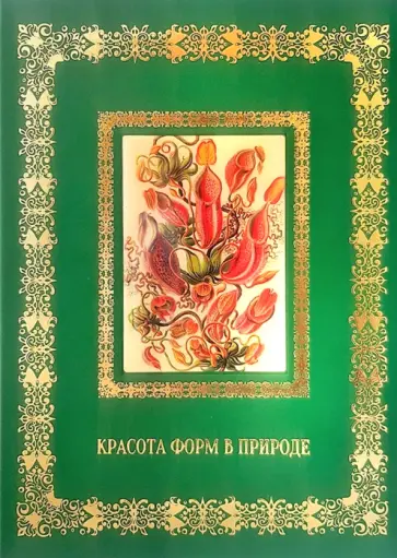 Красота форм в природе. Э. Геккель обложка книги