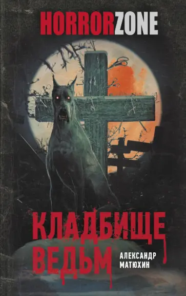 Александр Матюхин - Кладбище ведьм Александр Матюхин - Кладбище ведьм обложка книги