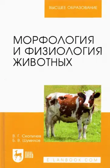 Скопичев, Шумилов - Морфология и физиология животных. Учебное пособие для вузов Скопичев, Шумилов - Морфология и физиология животных. Учебное пособие для вузов обложка книги