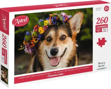 Пазл-260. Счастье есть обложка книги