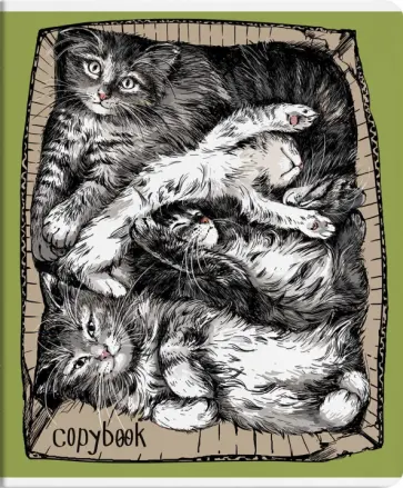 Тетрадь Жизнь котов, А5+, 48 листов, клетка, в ассортименте Тетрадь Жизнь котов, А5+, 48 листов, клетка, в ассортименте обложка книги