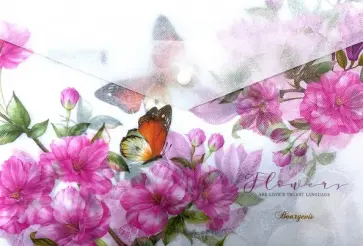 Папка-конверт Flowers, А4+ Папка-конверт Flowers, А4+ обложка книги