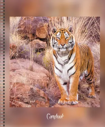 Тетрадь на гребне В дикой природе, 80 листов, клетка, А5, в ассортименте обложка книги