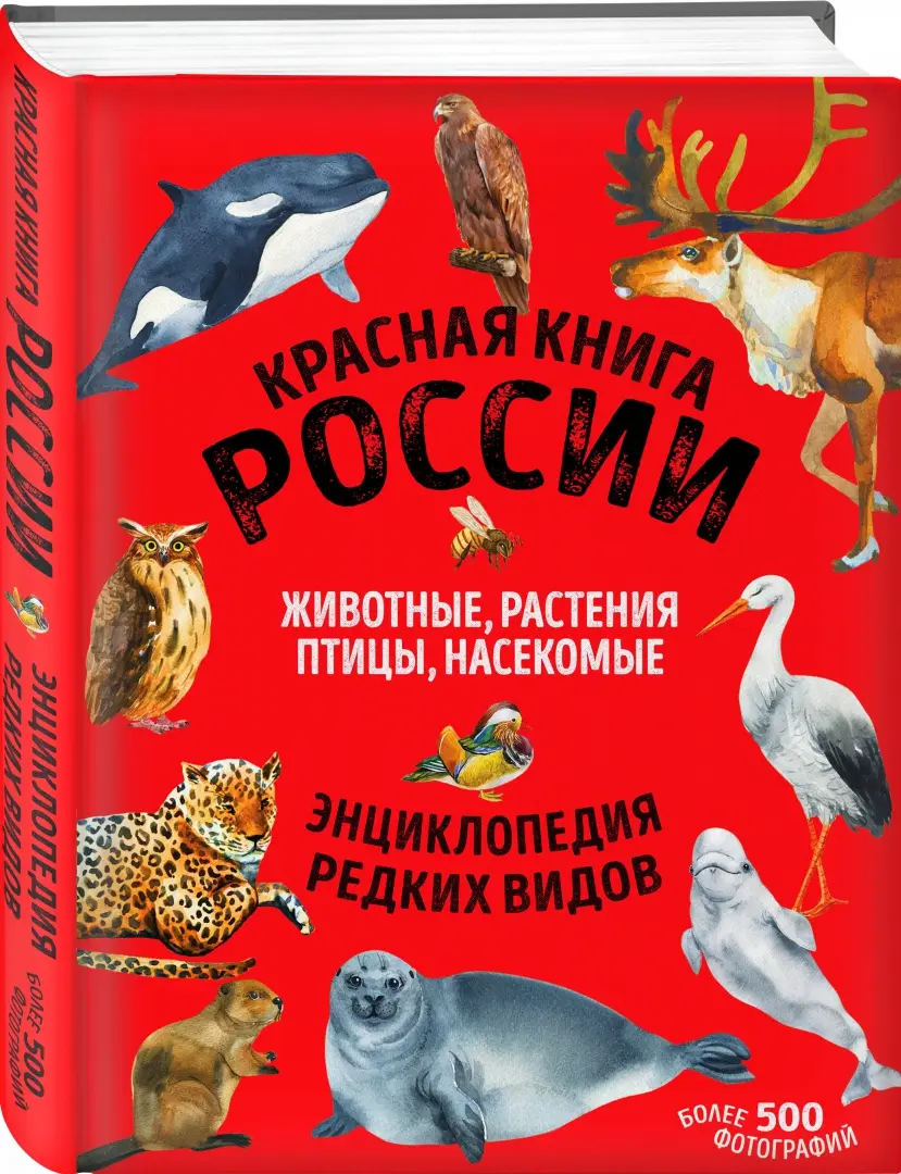 Животные и растения красной книги москвы и московской области