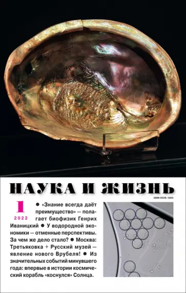 Журнал "Наука и жизнь" № 1. 2022 обложка книги