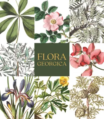 Flora Georgica. Гербарий на фарфоре обложка книги
