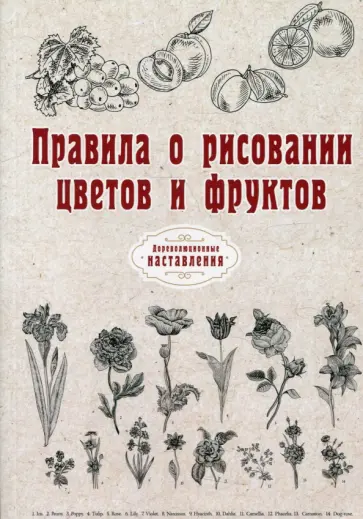 Правила о рисовании цветов и фруктов обложка книги