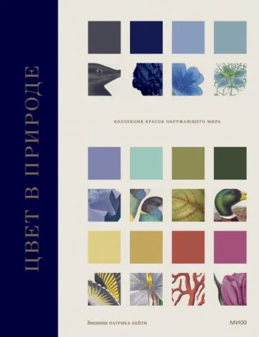 Бейти, Дэвидсон - Цвет в природе. Коллекция красок окружающего мира Бейти, Дэвидсон - Цвет в природе. Коллекция красок окружающего мира обложка книги