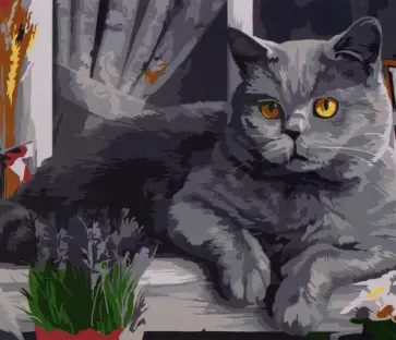 Раскраска по номерам Британский кот обложка книги