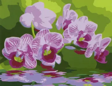 Раскраска по номерам Розовые цветы обложка книги