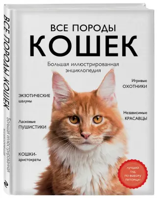 Всё для кошек