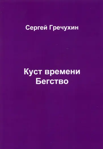 Сергей Гречухин - Куст времени. Бегство обложка книги