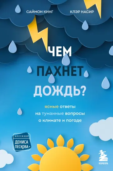 Кинг, Насир - Чем пахнет дождь? Кинг, Насир - Чем пахнет дождь? обложка книги