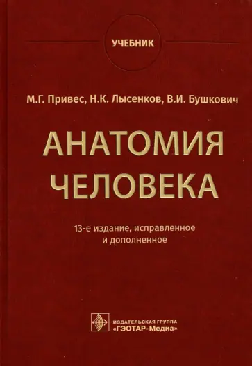 Привес, Лысенков - Анатомия человека. Учебник Привес, Лысенков - Анатомия человека. Учебник обложка книги