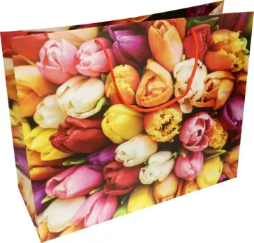 Пакет Цветы обложка книги