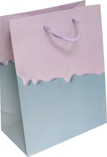 Пакет Лиловый/голубой обложка книги