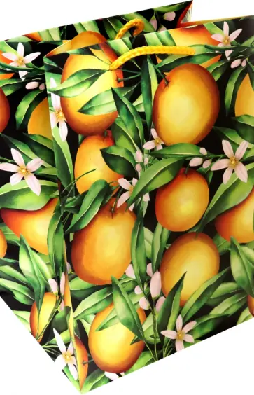 Пакет Апельсины обложка книги