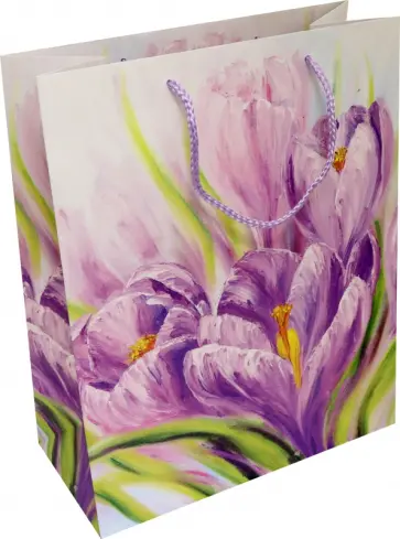 Пакет. Крокусы обложка книги