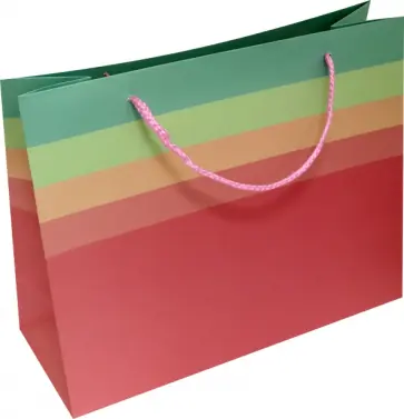 Пакет. Полоска обложка книги