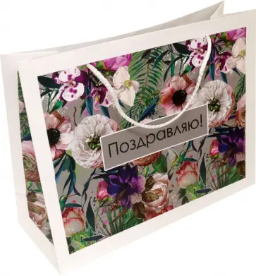 Пакет. Поздравляю! обложка книги